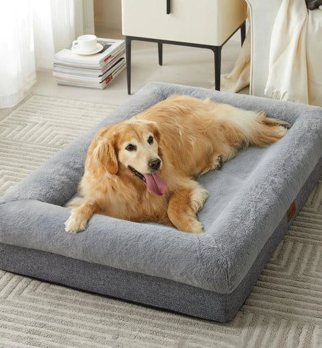 Orthopedic Large Dog Beds